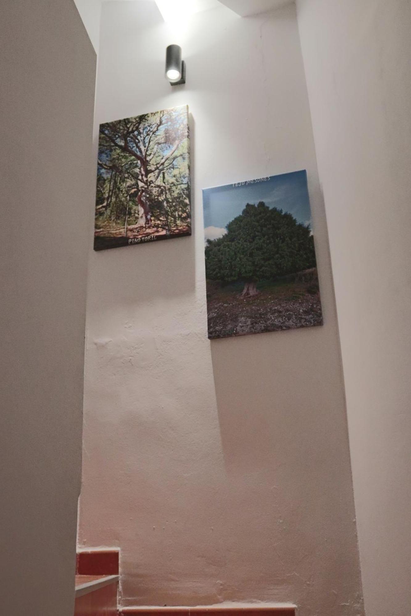 Villa Casa 25 à Riópar Extérieur photo